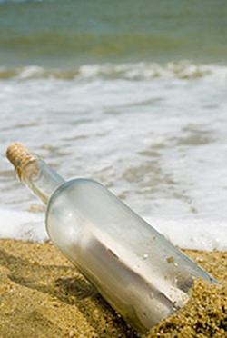  مصنع السجاد الوطنى - عن المصنع